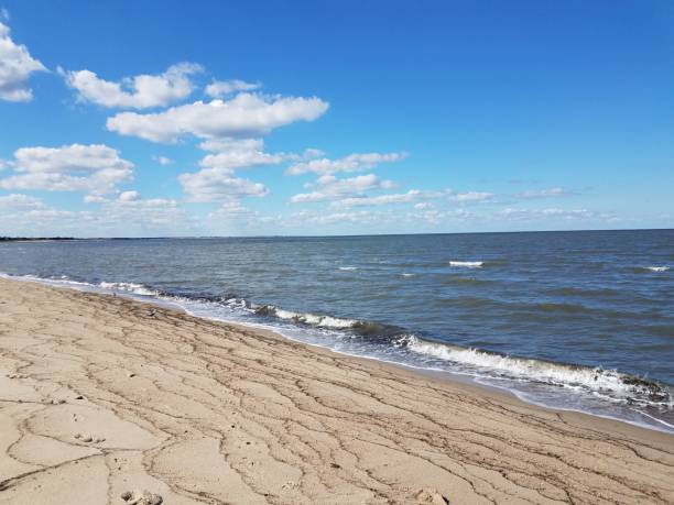 istock seaweed on the beach with sand and water 1278337073
