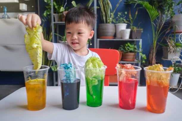 istock Asian kindergarten boy having fun making Rainbow Cabbage Experiment, Kid learn about how plants thrive by pulling water through its vein system 1278338611