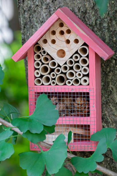 istock Beautiful pink insect house in a ginkgo tree 1278339596