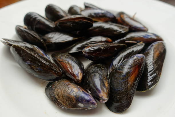istock Mussels cleaned and ready to cook  Seafood 1278347557