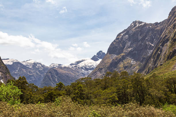 un valle verde y picos de montaña nevados en el camino a fiordland. south island, nueva zelanda - alp descent fotografías e imágenes de stock