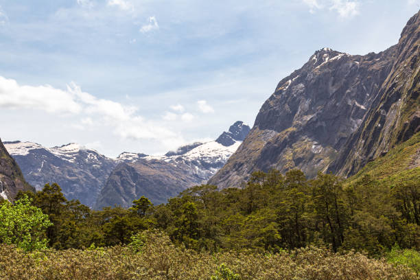 un valle verde y picos de montaña nevados en el camino a fiordland. nueva zelanda - alp descent fotografías e imágenes de stock