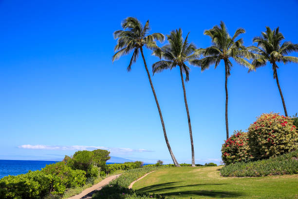 istock Resort by the sea 1278349432