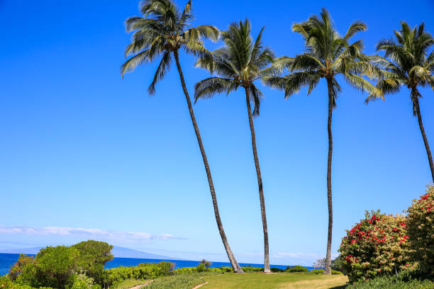istock Resort by the sea 1278349454