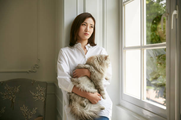 istock young asian woman standing by window holding a cat looking sad 1278350962