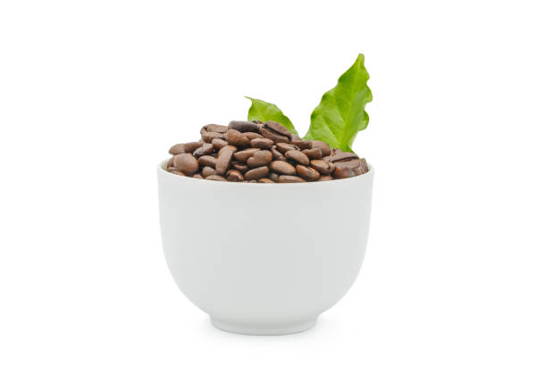 Coffee beans and coffee leaf in white cup isolated on white background.