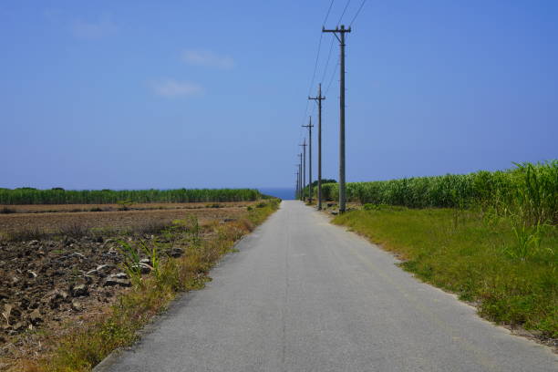 istock Hateruma island country road 1278356675