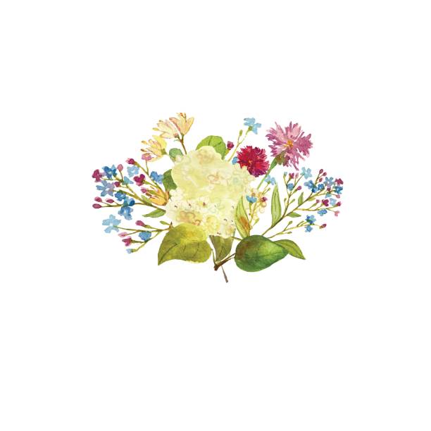 hand gezeichnet aquarell bouquet. schöne sanfte blumen in der zusammensetzung. hortensie, kornblumen, brunnera. design für drucke, einladungen, textil. - honeysuckle pink stock-grafiken, -clipart, -cartoons und -symbole