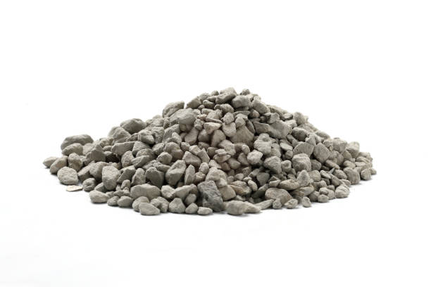istock Oyster shell fossil chicken feed 1278361807