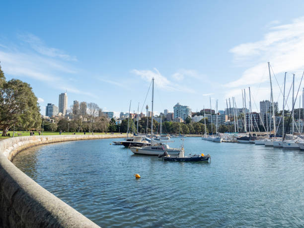 rushcutters bay blaues wasser mit booten angemacht und potts point hintergrund blur - rushcutters bay stock-fotos und bilder