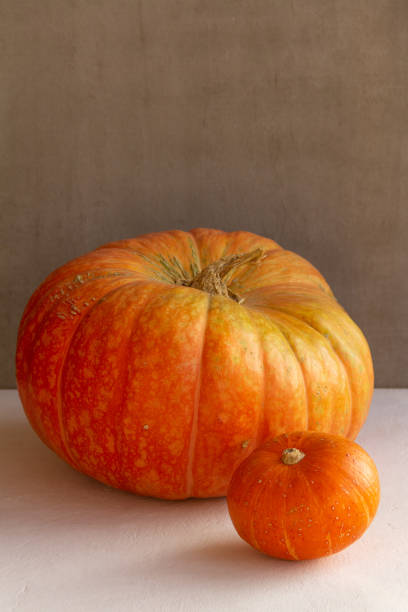 istock Orange and yellow pumpkins on gray and white concrete background 1278362706