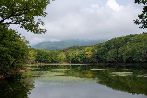 istock Cloudy Shiretoko Five Lakes with mountain reflection 1278363574