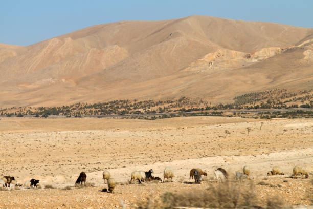 Desert in Syria near Damascus