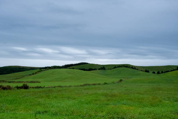 istock View of cloudy meadow in Hokkaido 1278365189