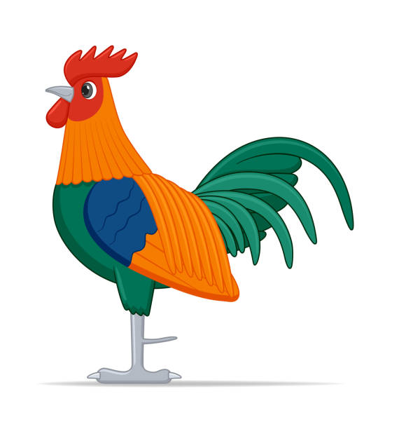 Red junglefowl bird on a white background Red junglefowl bird on a white background. Cartoon style vector illustration male red junglefowl gallus gallus stock illustrations
