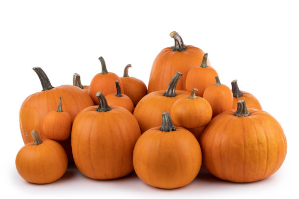 istock Many orange pumpkins isolated 1278379438