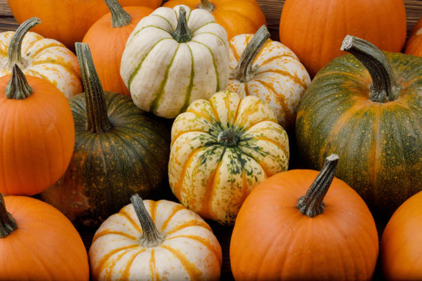 istock Assortiment of pumpkins background 1278379444