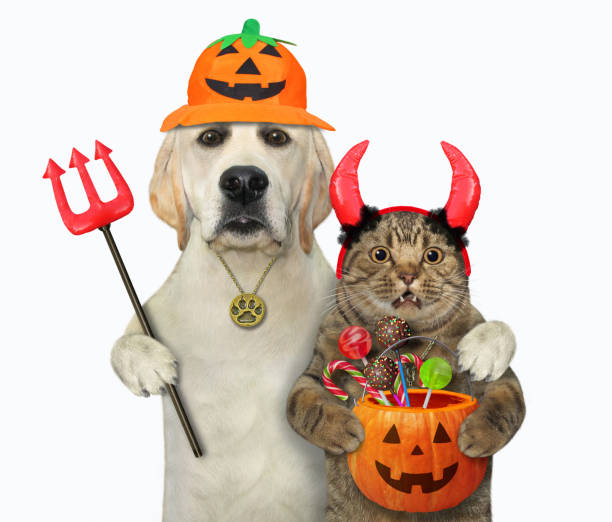 istock Dog hugs cat on halloween 1278381175
