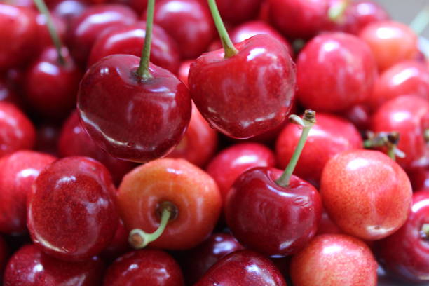 istock Lovely cherries background for diet eating 1278384293