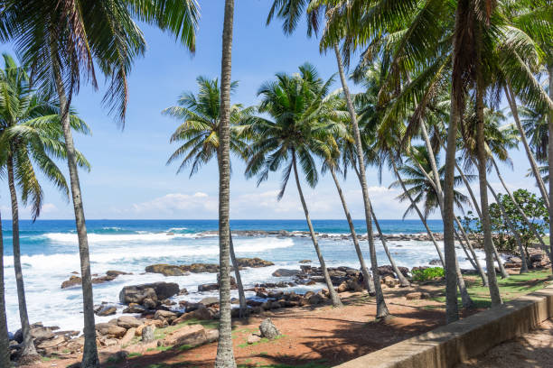 istock Tropical beach with palm trees. Turquoise sea. A powerful wave with splashes and foam breaks on a rocky shore. Sri Lanka, Dondra Lighthouse 1278384624
