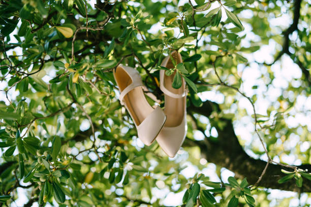 istock Bride's shoes on a tree in green leaves. 1278387231