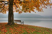 Falling leaves in autumn at Lake Schliersee in Bavaria, Germany