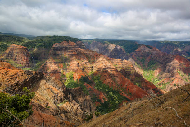 istock Waimea Canyon State Park 1278389670