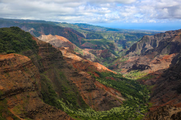 istock Waimea Canyon State Park 1278389693