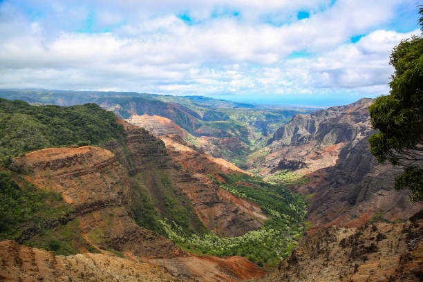 istock Waimea Canyon State Park 1278389700