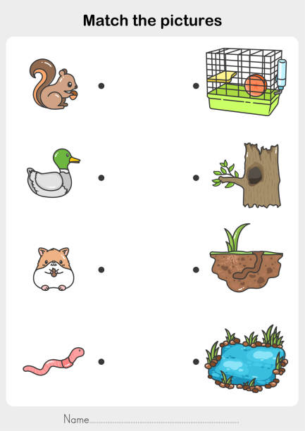Match The Pictures Of Animal And Their Homes Flashcards For Education Stock Illustration - Download Image Now - iStock Match The Pictures Of Animal And Their Homes Flashcards For Education Stock Illustration - Download Image Now - iStock