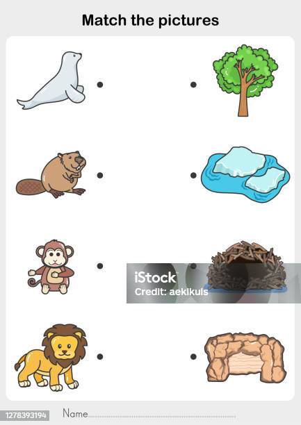 Match The Pictures Of Animal And Their Homes Flashcards For Education Stock  Illustration - Download Image Now - iStock