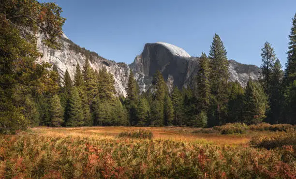A nature landscape photo highlighting the colors of autumn and capturing Yosemite National Park's beautiful features.