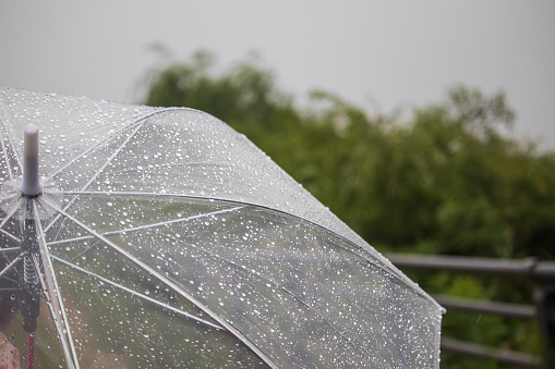 Raindrops on a transparent umbrella on a rainy day.