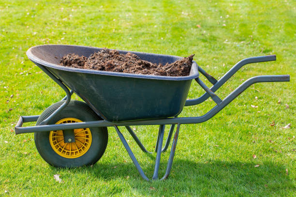 Wheelbarrow filled with cow manure on lawn Wheelbarrow full with organic manure standing on green grass. In spring season it's an ideal time to work in the garden and add animal dung to the soil. cow dung stock pictures, royalty-free photos & images
