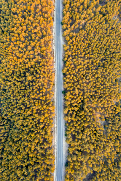 istock Aerial view of road 1278407098