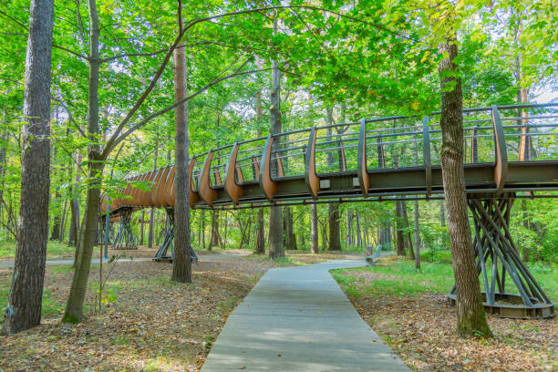 istock Path for pedestrians in the autumn park 1278414999
