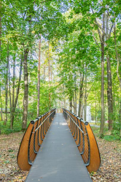 istock Path for pedestrians in the autumn park 1278415001