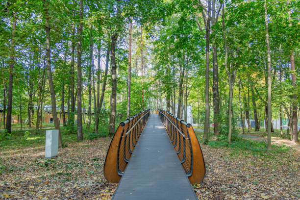 istock Path for pedestrians in the autumn park 1278415003