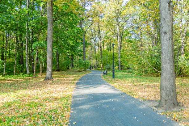 istock Path for pedestrians in the autumn park 1278415006