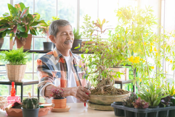 istock A senior farmer pruning a tree. Happy retired man pruning a shrub at home. 1278417345