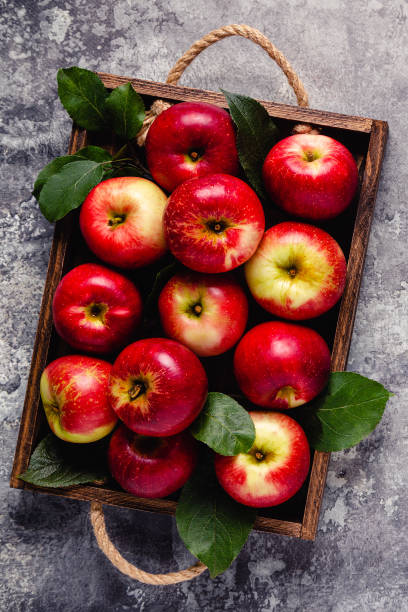 istock Ripe red apples in wooden box. 1278417482