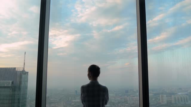 Back view of pensive woman looking at cityscape through window of skyscraper