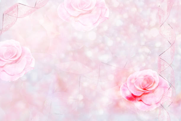 istock Bright colorful flower rose 1278418621