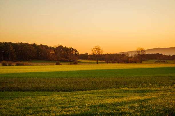 istock Golden hour Landscape 1278418667