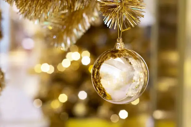 Photo of Beautiful Christmas golden ball hanging on pine tree with bokeh background