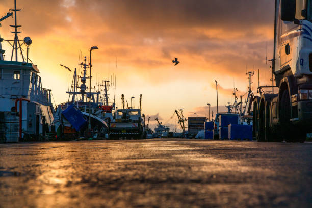 Fishing vessels silhouetted against a fiery sunrise in Newlyn. Wet quay reflects the sky.