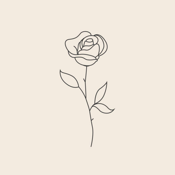 ilustrações, clipart, desenhos animados e ícones de ícone de esboço de linha fina de flor rosa ou logotipo ou modelo de design de tatuagem. ilustração vetorial - haste