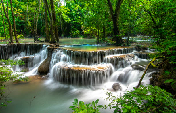 beautiful deep forest waterfall - erawan falls fotos imagens e fotografias de stock