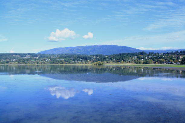 Salmon Arm, British Columbia, Canada - Mountain and lake view, reflection, tranquil scene, trees.