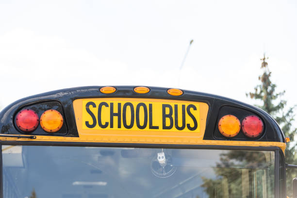 istock school bus lettering, school bus sign. 1278436419
